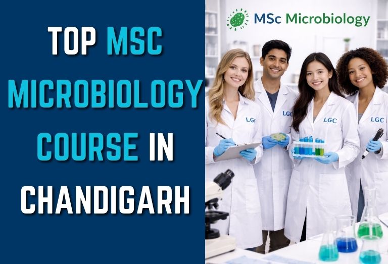 Top MSc Microbiology Course in Chandigarh – LGC offers advanced lab training, expert faculty, and strong career opportunities in microbiology.