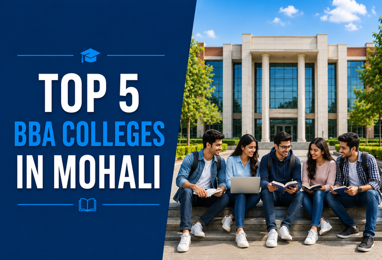 top BBA Colleges